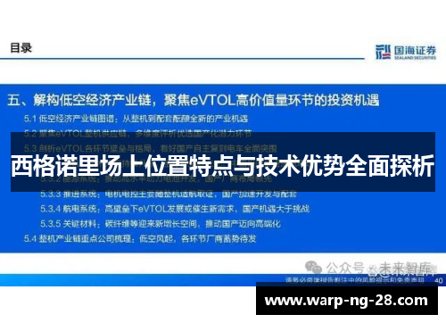 西格诺里场上位置特点与技术优势全面探析 西格诺里场上位置特点与技术优势全面探析
