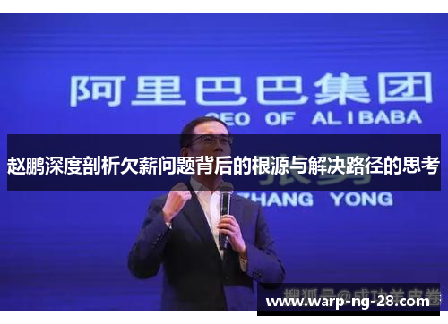 赵鹏深度剖析欠薪问题背后的根源与解决路径的思考