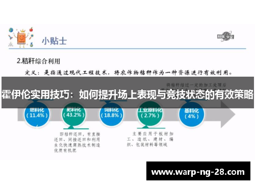 霍伊伦实用技巧：如何提升场上表现与竞技状态的有效策略